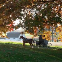 Autumn in Amish Country 