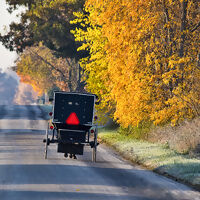 Autumn in Amish Country