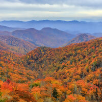 Blue Ridge Parkway and The Greenbrier